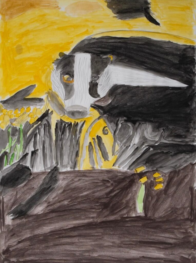 A black and white badger facing forward with one yellow eye, one black eye, and a grey snout on a yellow background