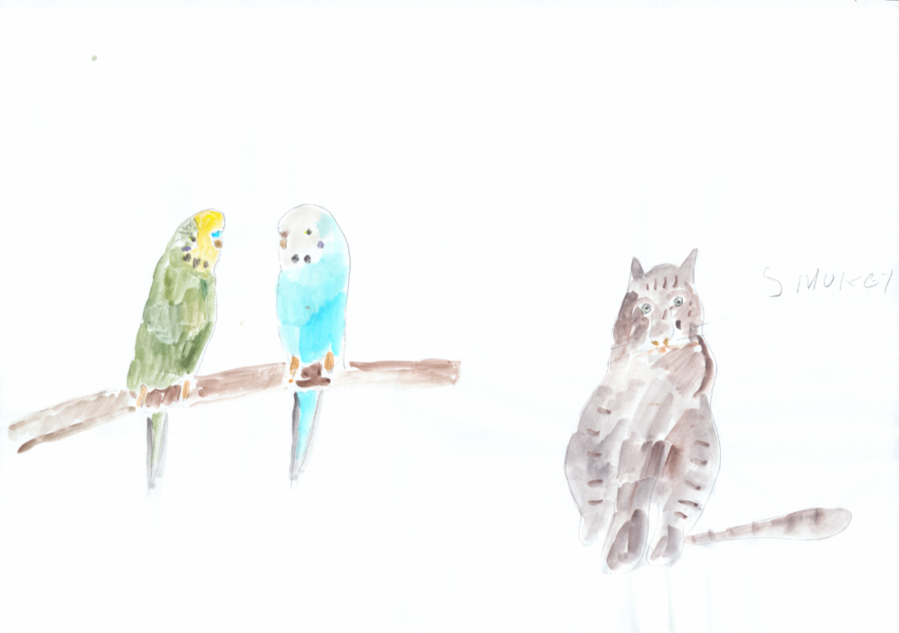 A green and yellow budgie and a blue budgie rest on a brown branch on the left, while a brown cat sits on the right, labelled 'SMOKEY'